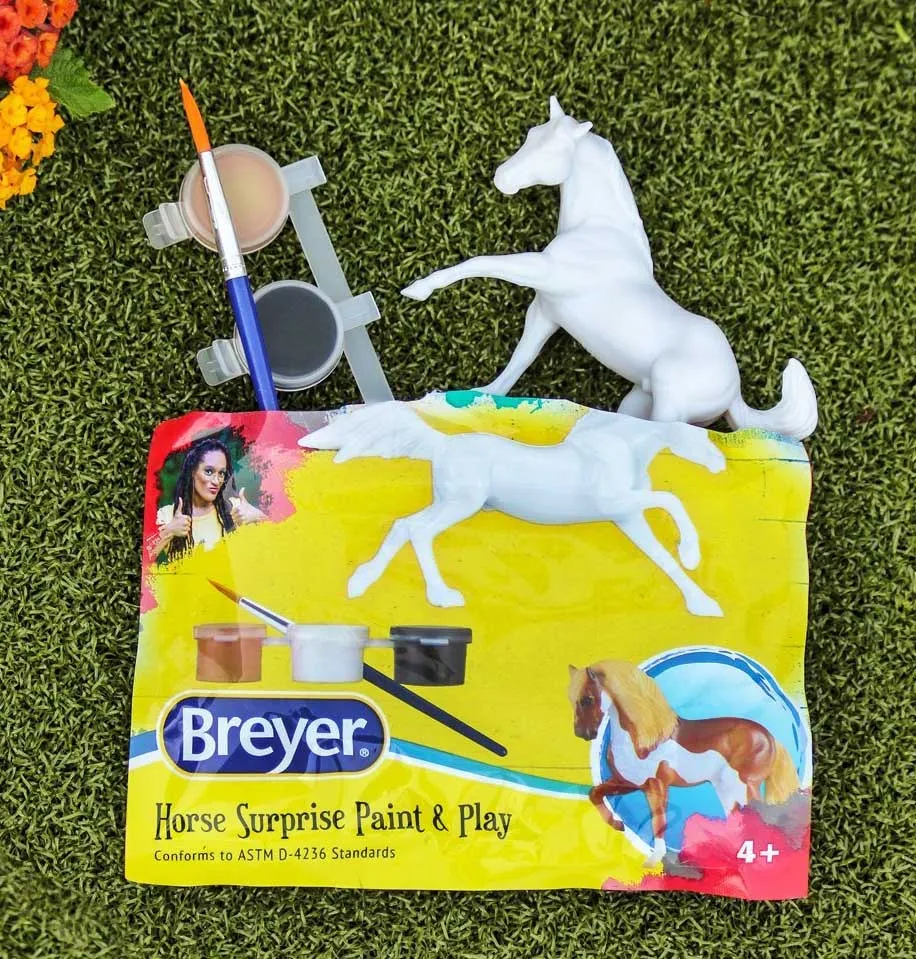 Horse Surprise Paint and Play
