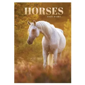 Otter House Horses A5 Diary 2025